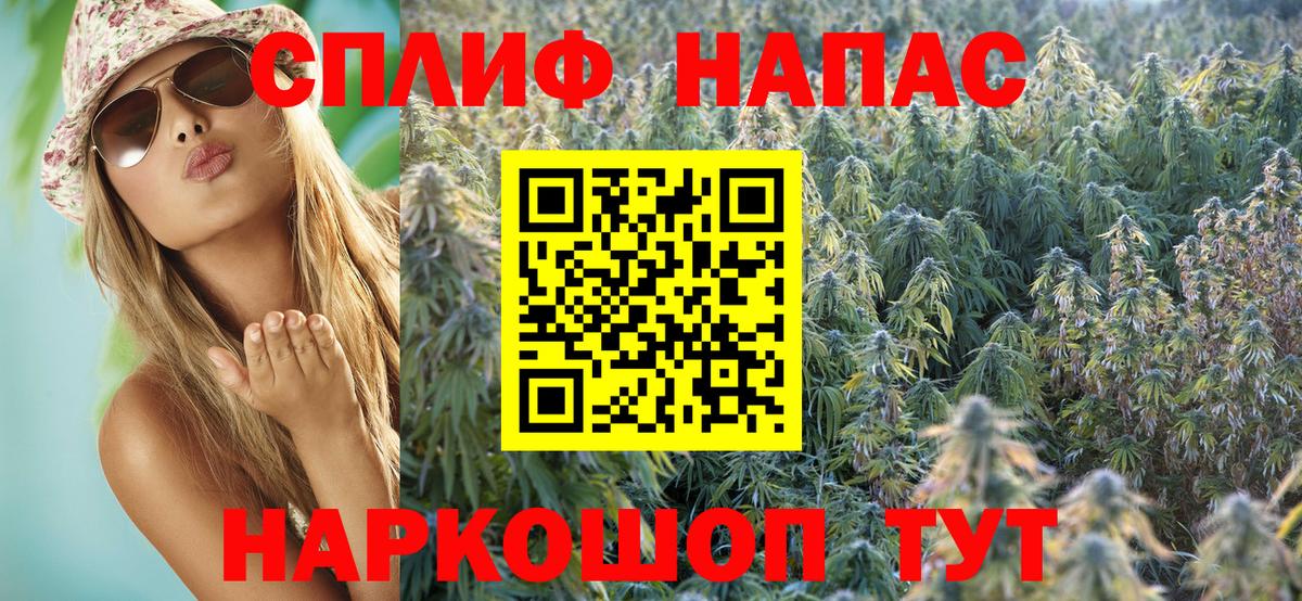 Каннабис гибрид Курчалой